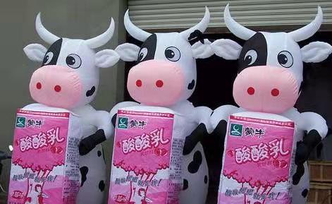 邯郸牛奶厂广告气模